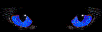 34611310